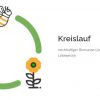 Bio Cremehonig "bleibt am Brot" 🍯 280g – Bild 6