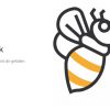 Bio Blütenhonig "schmeckt so gut" 🍯 500g – Bild 5