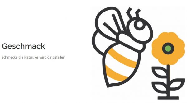 Bio Blütenhonig "schmeckt nach Sommer" 🍯 280g – Bild 5