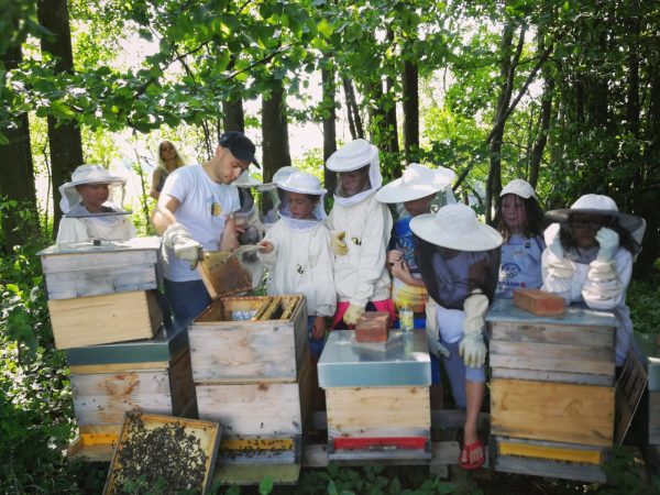 Bienenpatenschaft 🐝 "beeSUPPORT" 💌  Schenke Freude & Sinn! 🙋 – Bild 14