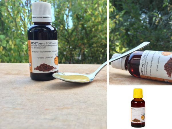 Bio Propolis Harz 5g "Immunbooster" 🤧 – Bild 4