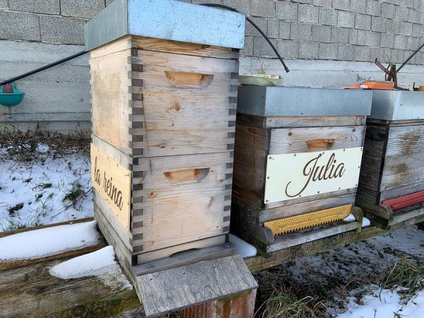 Bienenpatenschaft 🐝 "beeSUPPORT" 💌  Schenke Freude & Sinn! 🙋 – Bild 10