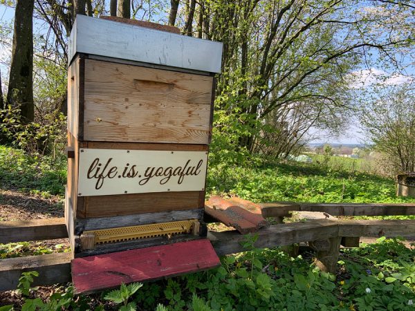 Bienenpatenschaft 🐝 "beeSUPPORT" 💌  Schenke Freude & Sinn! 🙋 – Bild 6