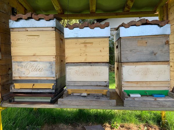 Bienenpatenschaft 🐝 "beeSUPPORT" 💌  Schenke Freude & Sinn! 🙋 – Bild 13