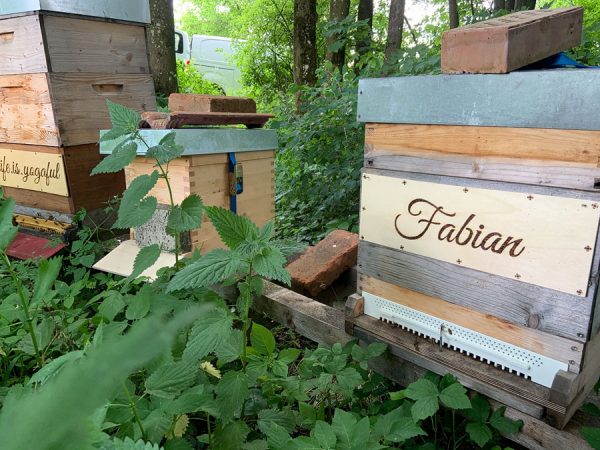 Bienenpatenschaft 🐝 "beeSUPPORT" 💌  Schenke Freude & Sinn! 🙋 – Bild 9