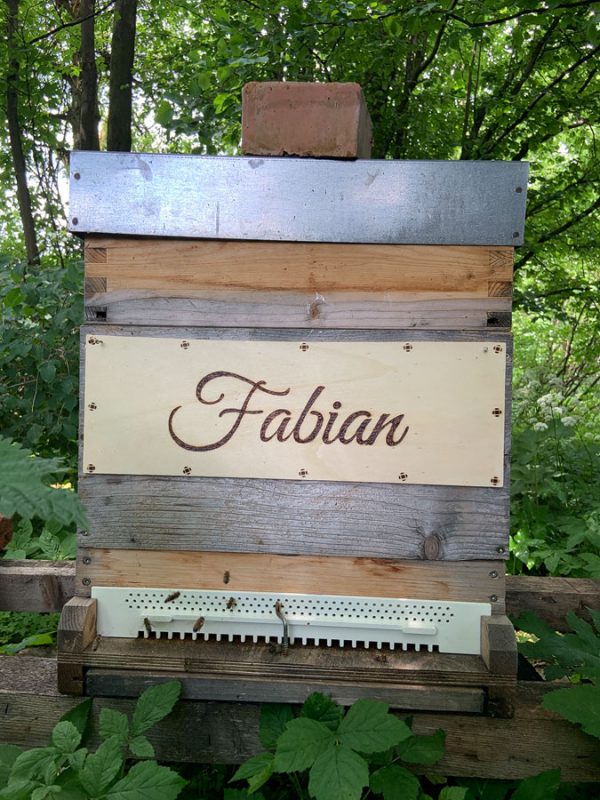 Bienenpatenschaft 🐝 "beeSUPPORT" 💌  Schenke Freude & Sinn! 🙋 – Bild 7