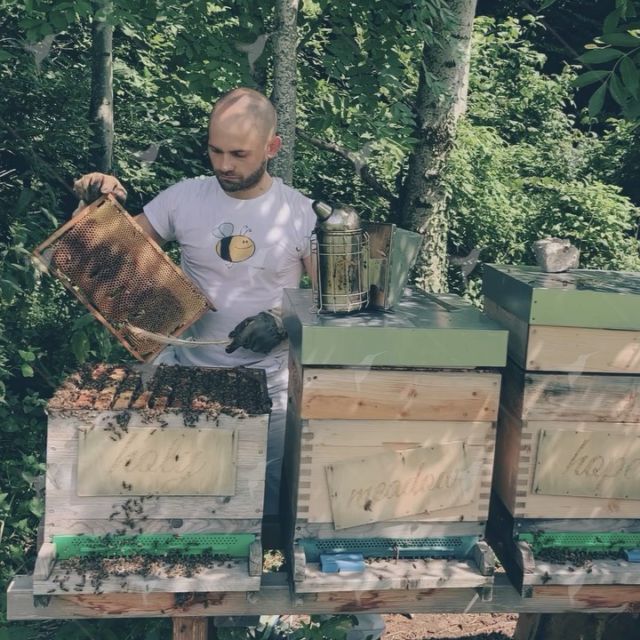 Ich 💛 es!
.
😥 Viel Zeit, Mühe und Schweiß kostet es die Bienen bei ihrem Tun zu begleiten, zu unterstützen um ihr Wohlergehen sicherzustellen.
.
🏹 Der eine oder andere Bienenstiche pro Saison lässt sich hier nicht vermeiden, ist aber oft ein Zeichen.
.
🤝 Die Zusammenarbeit mit den Bienen zeigt mir wenn ich mit mir selbst nicht im reinen bin, wenn das “Rad” zu schnell läuft, ich einen Gang runter schalten muss. ▶️ Bienen sind hier sehr sensibel und erkennen das am Verhalten, an den Bewegungen und vl. noch an weiteren Signalen die wir vl. noch garnicht erforscht haben.
.
Ruhig, bedacht, fokussiert, frei von störenden Gedanken fast wie in eine Meditation mit den Bienen zu Arbeiten das macht es für mich aus 🙏 
.
.
Hast du auch ein Ritual, eine Leidenschaft die dich #erdet , die dich im #flow aufgehen lässt?
.
.
bee in the FLOW bee MOSTbee 🐝
.
.
PS: Im Blog (link in der Bio @mostbee__ ) gibts bald ein neuen Beitrag zum Thema “Insektenstiche & DIY Hausmittel mit #spitzwegerich “ 👌 Vorbeischauen lohnt sich immer!
.
.
#ausgleich #mindfullness #meditation #cinemagraph #natürlich 
#austria #gesundheit #gesundesleben #organicfarming #fokusmodus #organicfoods  #natürlichgesund 
#eatorganic #bioistbesser #regionaleinkaufen 
#schmeckt #achtsamkeitsübung 
#superfood #natürlichschön #regionalergenuss #bioistbesser #regional #genießedasleben #gesundeernährung #enjoyeverymoment #naturpur #mostbee__ @bio_austria