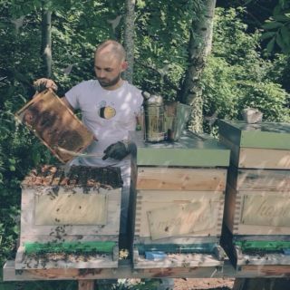 Ich 💛 es!
.
😥 Viel Zeit, Mühe und Schweiß kostet es die Bienen bei ihrem Tun zu begleiten, zu unterstützen um ihr Wohlergehen sicherzustellen.
.
🏹 Der eine oder andere Bienenstiche pro Saison lässt sich hier nicht vermeiden, ist aber oft ein Zeichen.
.
🤝 Die Zusammenarbeit mit den Bienen zeigt mir wenn ich mit mir selbst nicht im reinen bin, wenn das “Rad” zu schnell läuft, ich einen Gang runter schalten muss. ▶️ Bienen sind hier sehr sensibel und erkennen das am Verhalten, an den Bewegungen und vl. noch an weiteren Signalen die wir vl. noch garnicht erforscht haben.
.
Ruhig, bedacht, fokussiert, frei von störenden Gedanken fast wie in eine Meditation mit den Bienen zu Arbeiten das macht es für mich aus 🙏 
.
.
Hast du auch ein Ritual, eine Leidenschaft die dich #erdet , die dich im #flow aufgehen lässt?
.
.
bee in the FLOW bee MOSTbee 🐝
.
.
PS: Im Blog (link in der Bio @mostbee__ ) gibts bald ein neuen Beitrag zum Thema “Insektenstiche & DIY Hausmittel mit #spitzwegerich “ 👌 Vorbeischauen lohnt sich immer!
.
.
#ausgleich #mindfullness #meditation #cinemagraph #natürlich 
#austria #gesundheit #gesundesleben #organicfarming #fokusmodus #organicfoods  #natürlichgesund 
#eatorganic #bioistbesser #regionaleinkaufen 
#schmeckt #achtsamkeitsübung 
#superfood #natürlichschön #regionalergenuss #bioistbesser #regional #genießedasleben #gesundeernährung #enjoyeverymoment #naturpur #mostbee__ @bio_austria